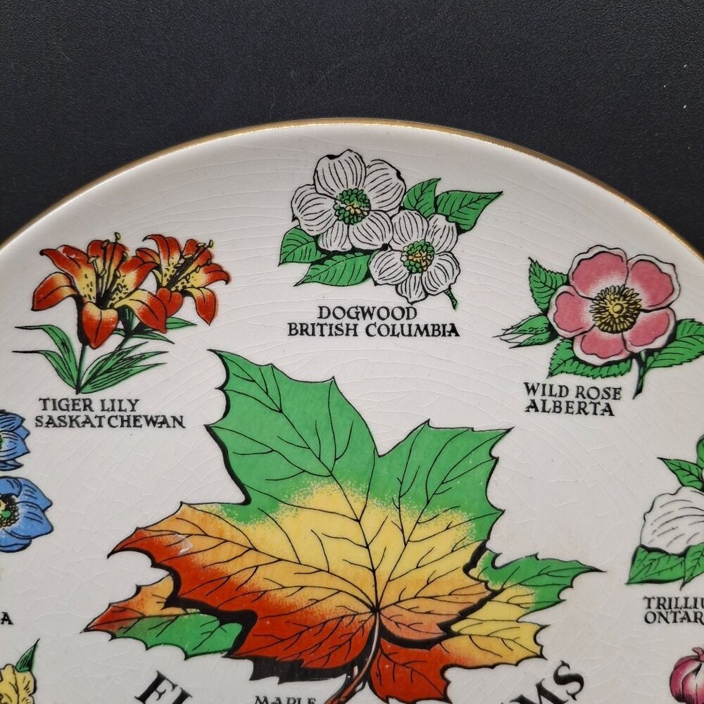 Floral Emblems Of Canada  Plate By Royal Winton England  Maple Leaf  Flowers - Picture 2 of 6